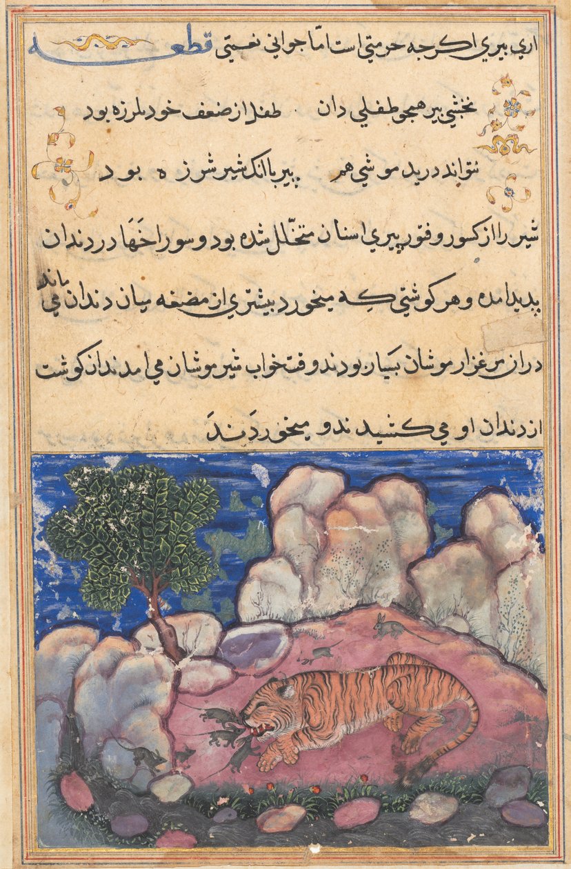 Bir Papağan Masalları Tuti-nama