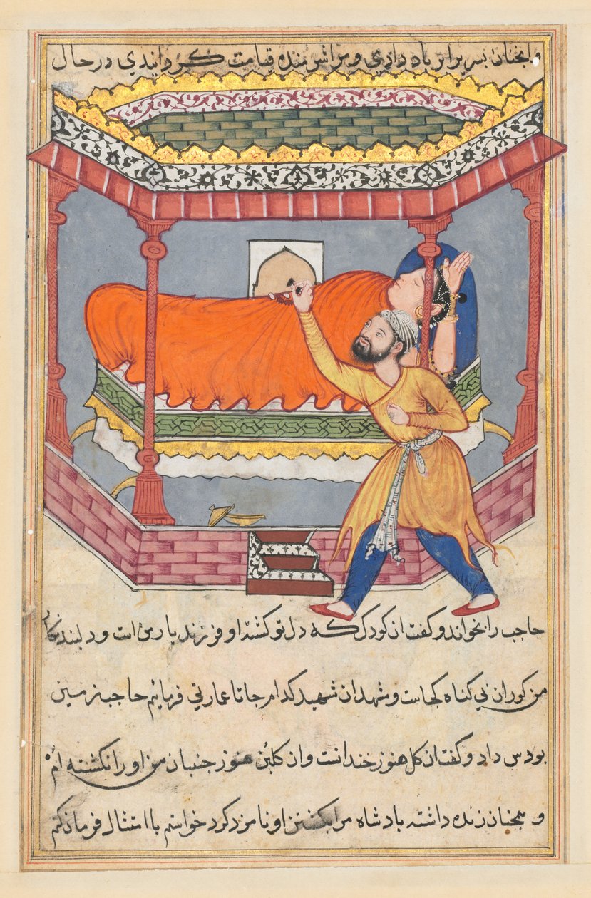 Bir Papağan Masallarından Sayfa Tuti-nama: Ellinci gece: Kral tılsımı yerleştirir..., c. 1560. by Unbekannt