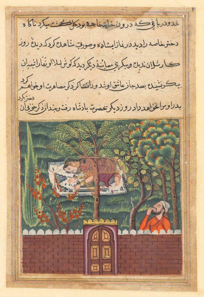 Bir Papağan Masalları Tuti-nama