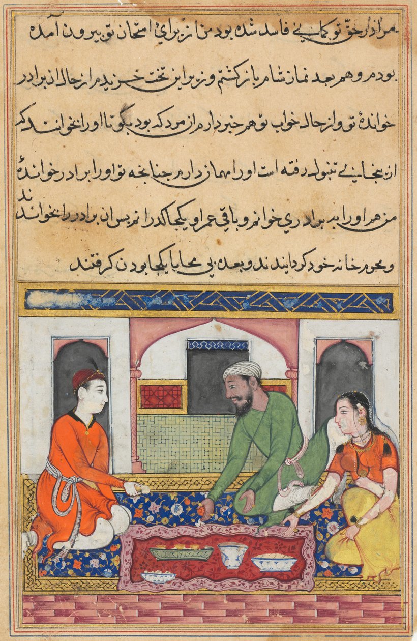 Bir Papağan Masalları Tuti-nama