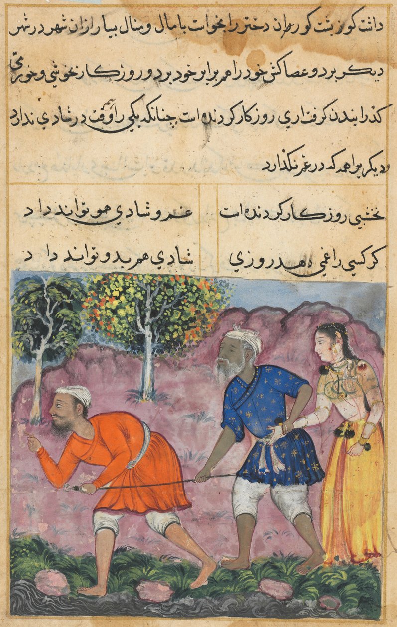 Bir Papağan Tuti-nama Masalları