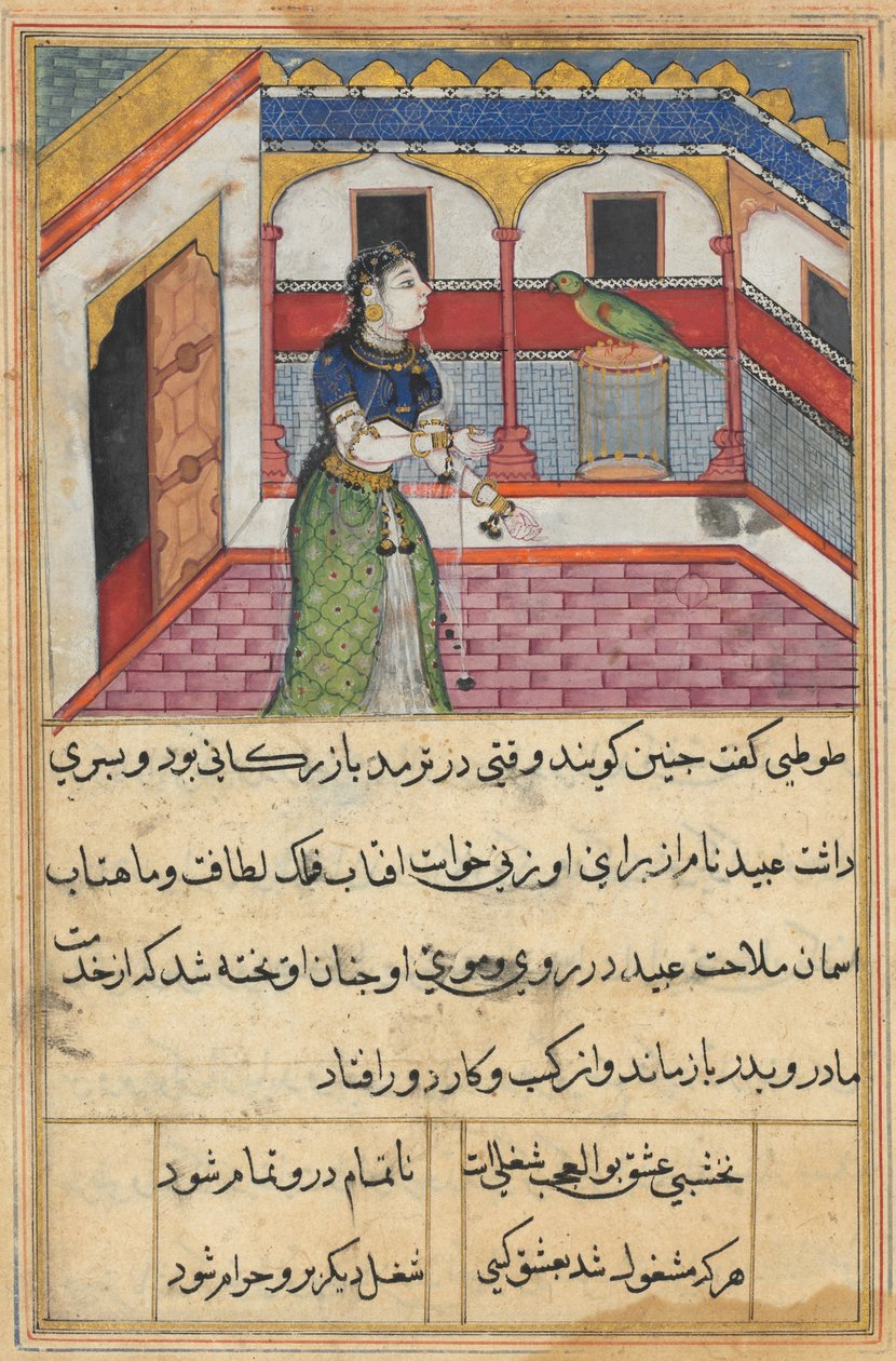 Bir Papağan Masallarından Sayfa Tuti-nama: Kırk ikinci gece: Papağan adresleri..., c. 1560. by Unbekannt