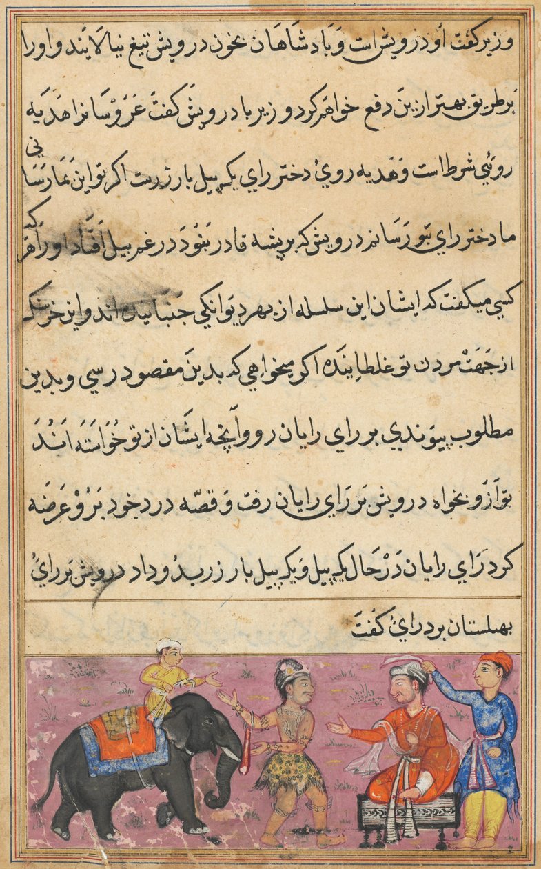 Bir Papağan Masalları Tuti-nama