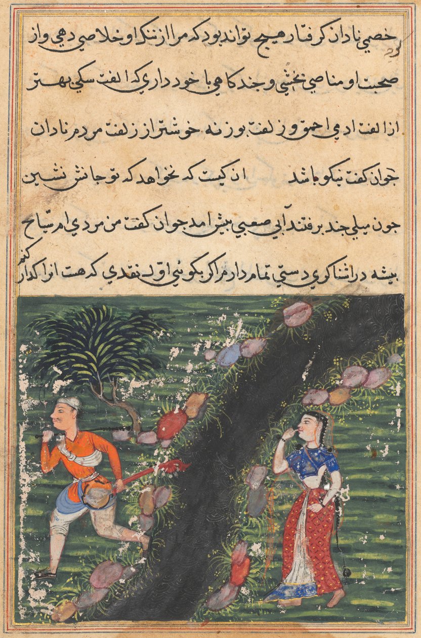 Bir Papağan Masalları Tuti-nama