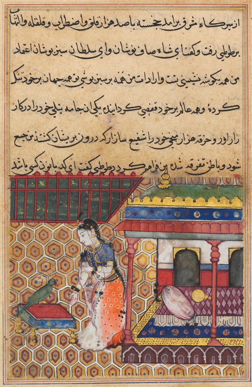 Bir Papağan Masallarından Sayfa Tuti-nama: Otuz sekiz gece: Papağan Khujasta, c1560
