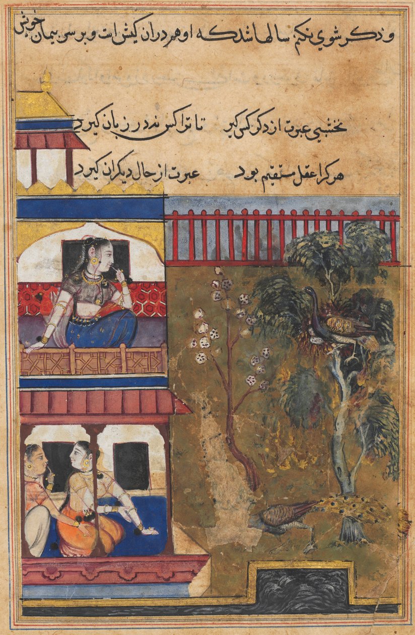 Bir Papağan Masallarından Sayfa Tuti-nama: Otuz dokuzuncu gece: Rum kraliçesi..., c. 1560. by Unbekannt