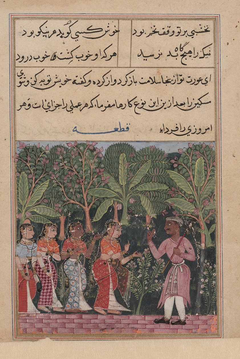 Bir Papağan Masalları Tuti-nama