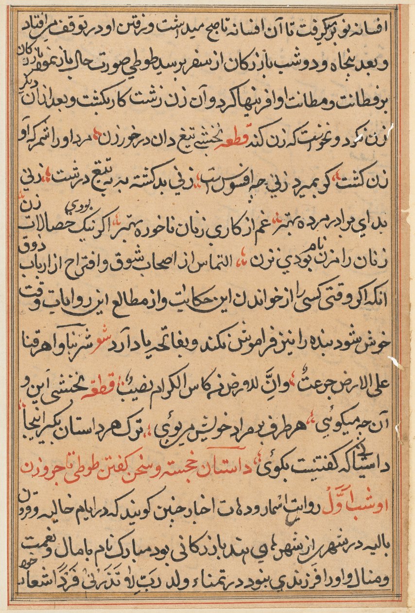Bir Papağan Tuti-nama Masallarından sayfa: metin sayfası, c. 1560. by Unbekannt