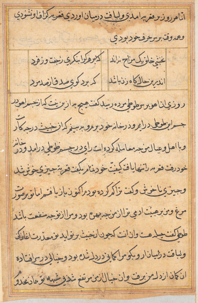Bir Papağan Tuti-nama Masallarından sayfa: metin sayfası, c. 1560. by Unbekannt