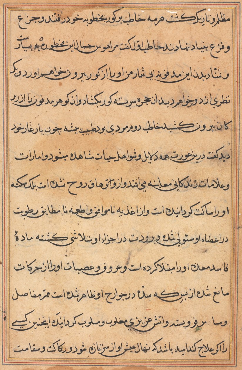 Bir Papağan Tuti-nama Masallarından sayfa: metin sayfası, c. 1560. by Unbekannt