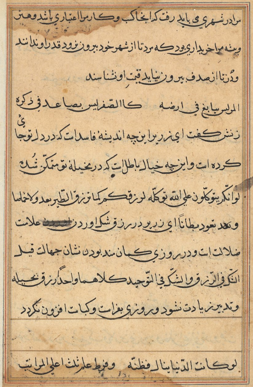 Bir Papağan Tuti-nama Masallarından sayfa: metin sayfası, c. 1560. by Unbekannt