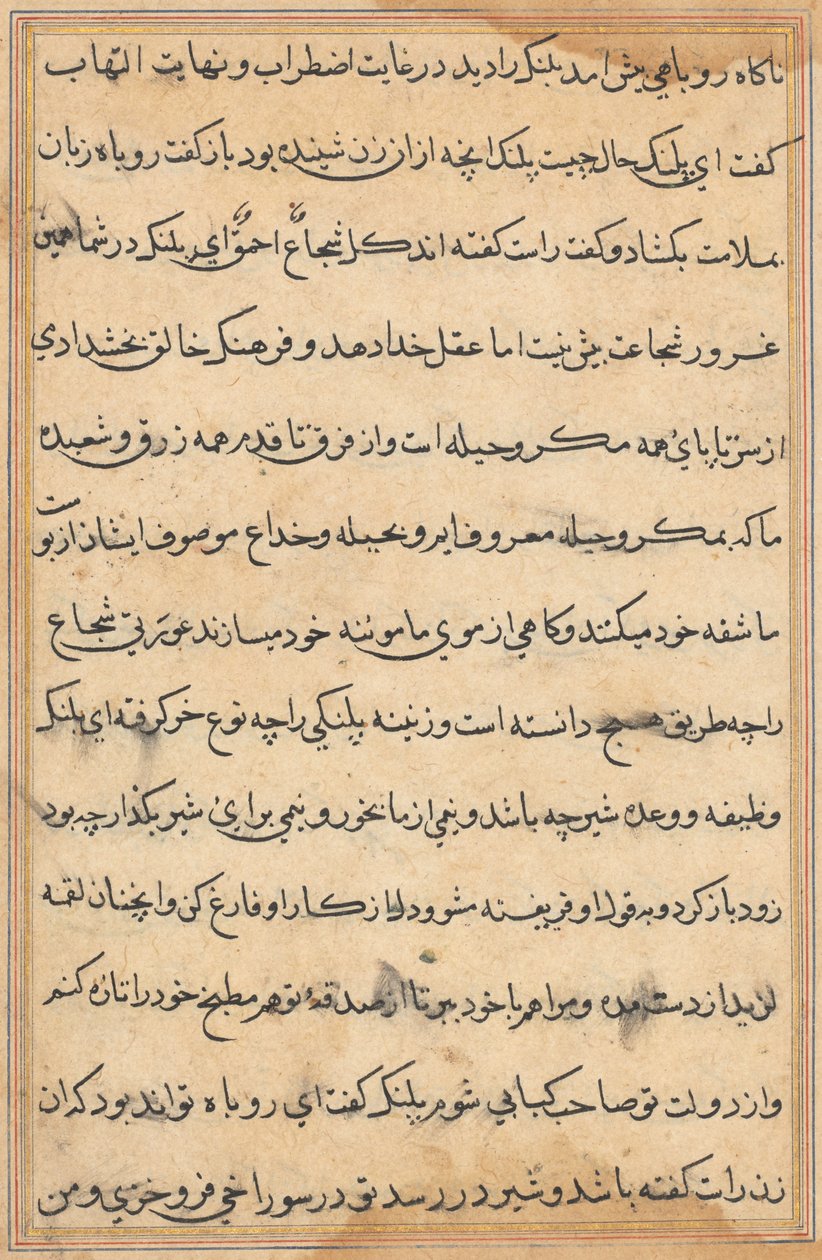 Bir Papağan Tuti-nama Masallarından sayfa: metin sayfası, c. 1560. by Unbekannt