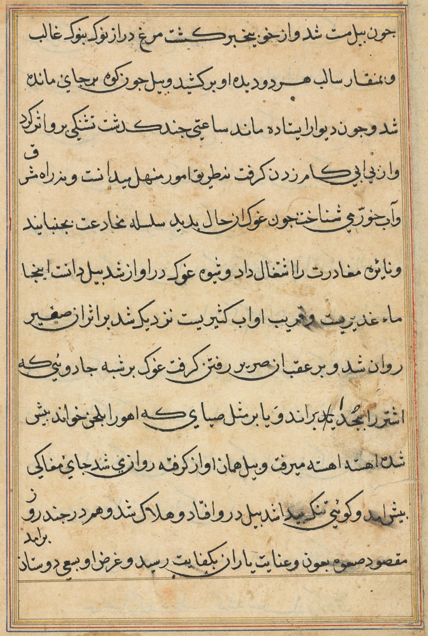 Bir Papağan Tuti-nama Masallarından sayfa: metin sayfası, c. 1560. by Unbekannt