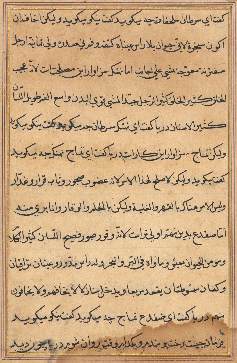 Bir Papağan Tuti-nama Masallarından sayfa: metin sayfası, c. 1560. by Unbekannt