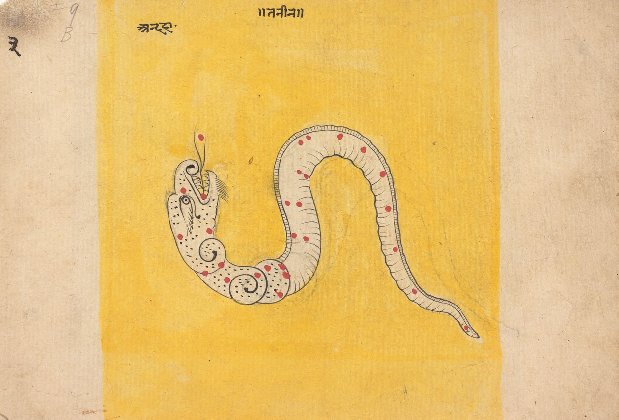 Dağınık Düşler Kitabından bir sayfa, 19. yüzyılın ortaları. by Unbekannt