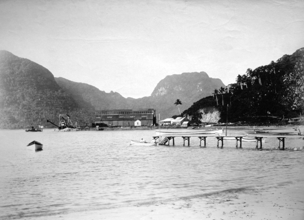 Pago Pago Limanı, Tutuila adasında, Amerikan Samoası, 1889 by Unbekannt