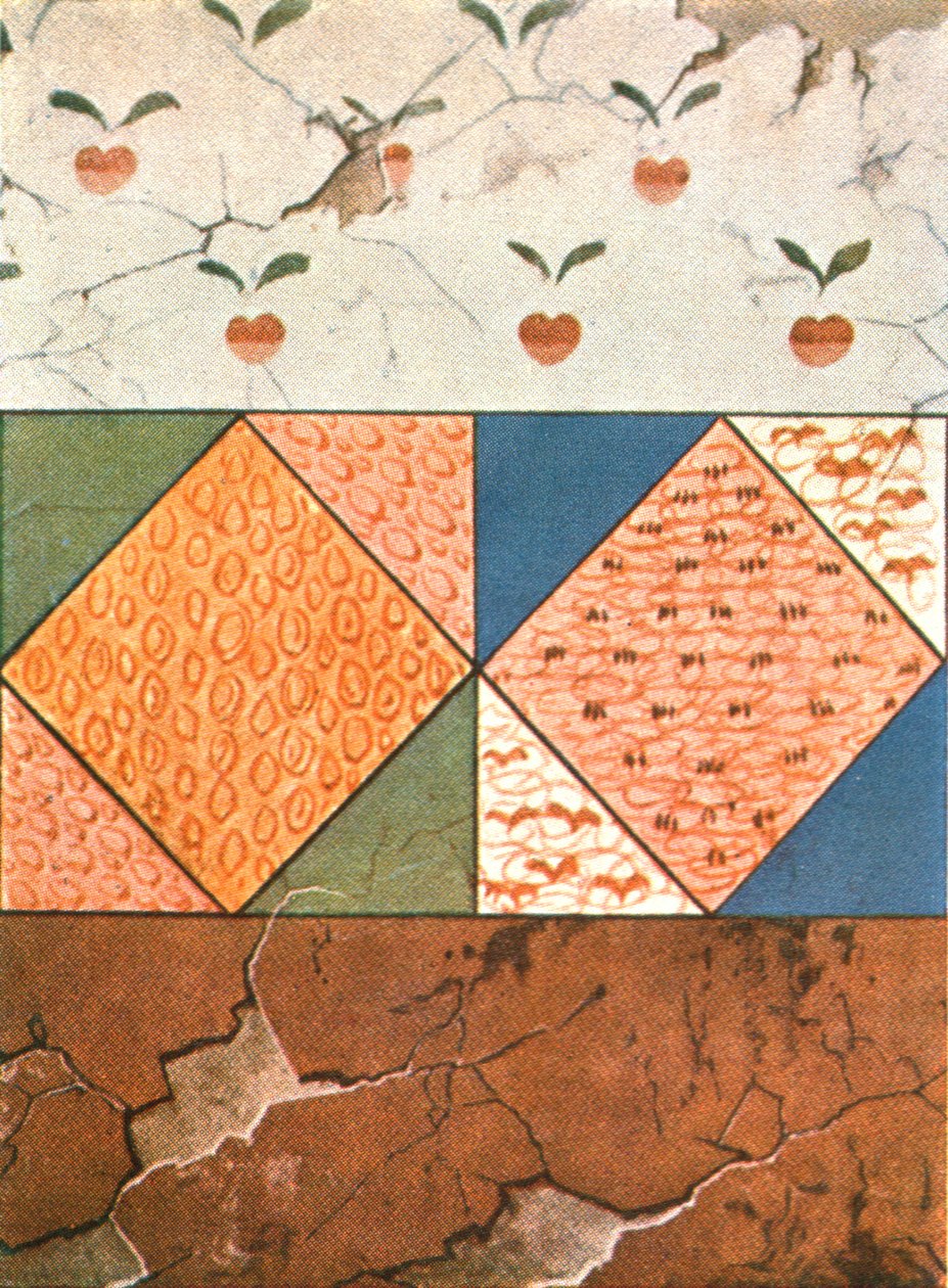 Stasovsky Crypt, Cimmerian Bosporus, Kerch, 1928
