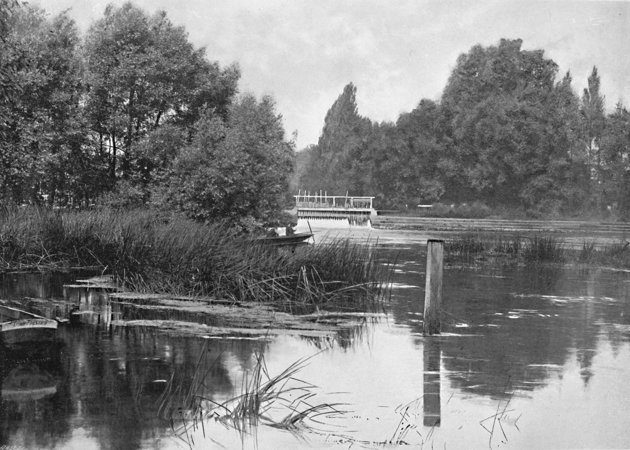 Pangbourne Savağı, c1896 by Unbekannt