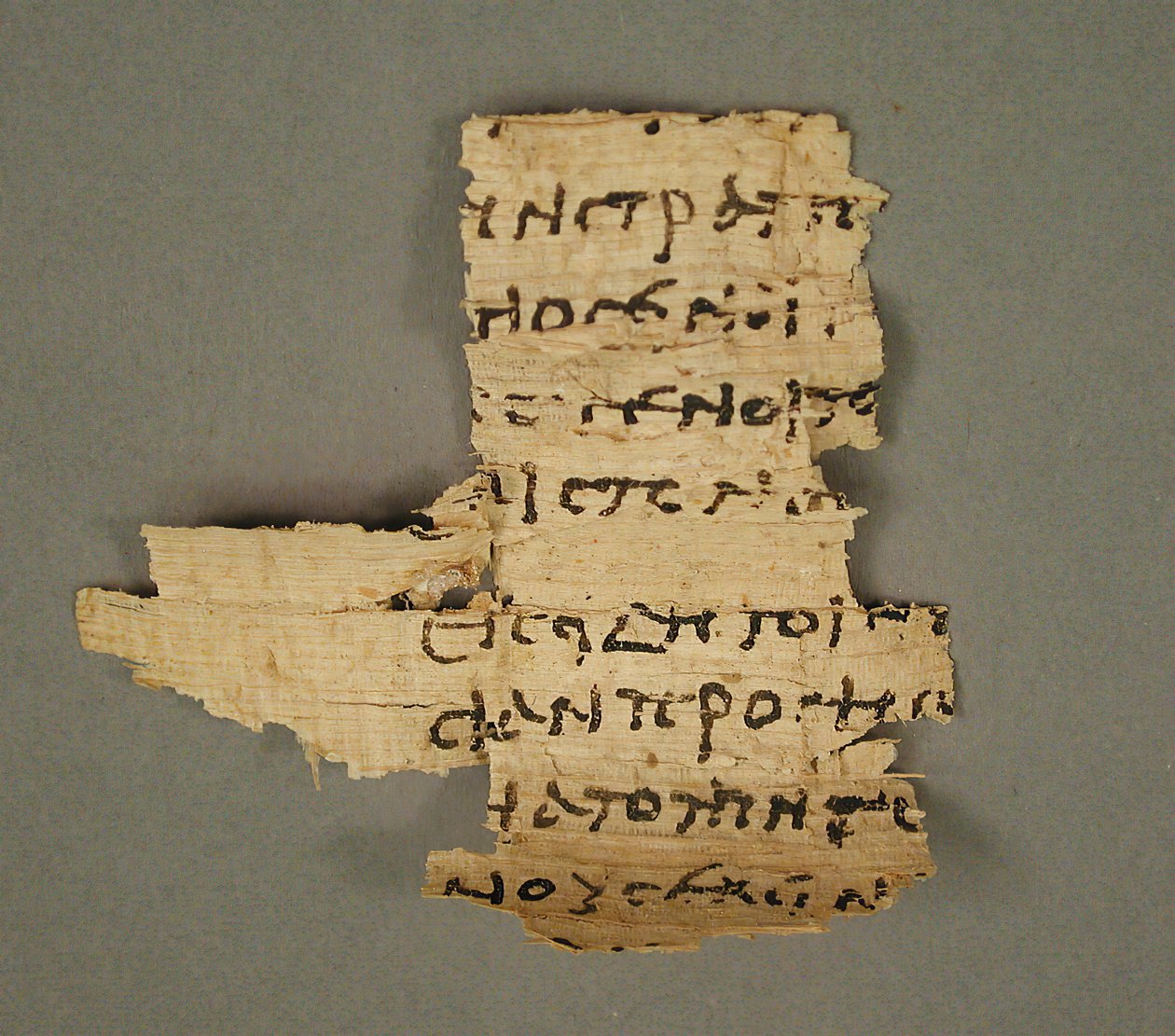 Papirüs Parçası, Kıpti, 4-7. yüzyıl. by Unbekannt