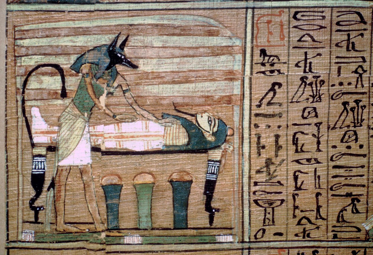 Bir mumya hazırlayan Anubis Papirüsü by Unbekannt