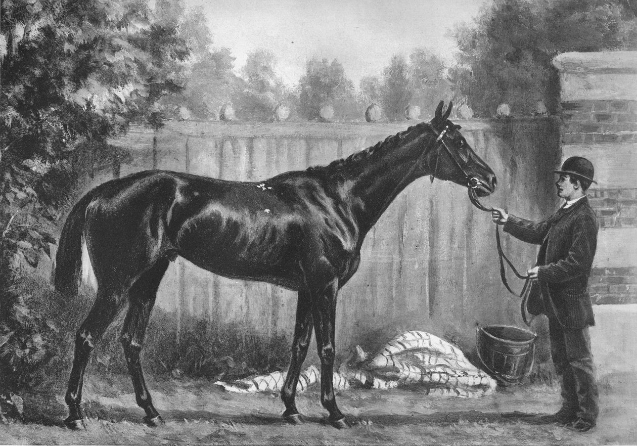 Paradoks, 1882-1890, 1911 by Unbekannt