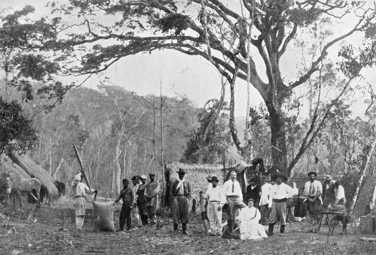 Paraguay çay toplama, Paraguay, 1911 by Unbekannt