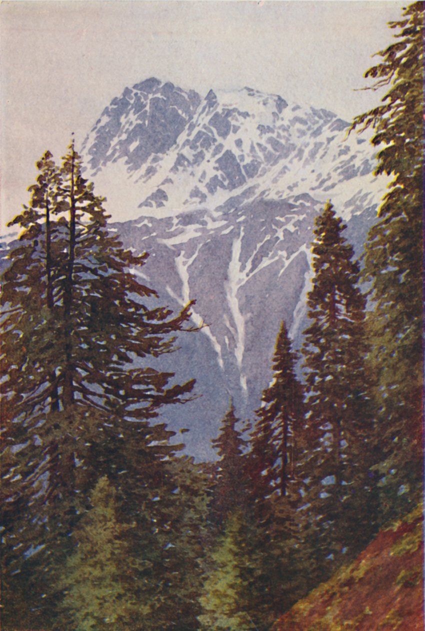 Himalayalar