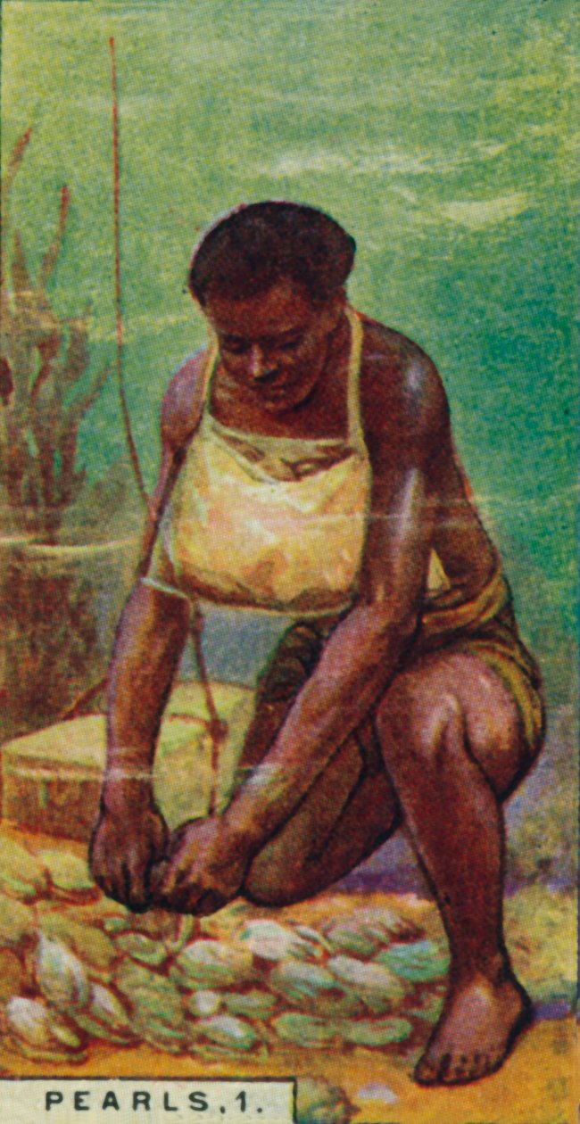 İnciler 1. Yerli Dalgıç İş Başında, Seylan, 1928 by Unbekannt