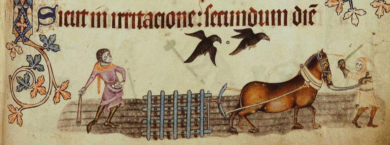Luttrell Psalter