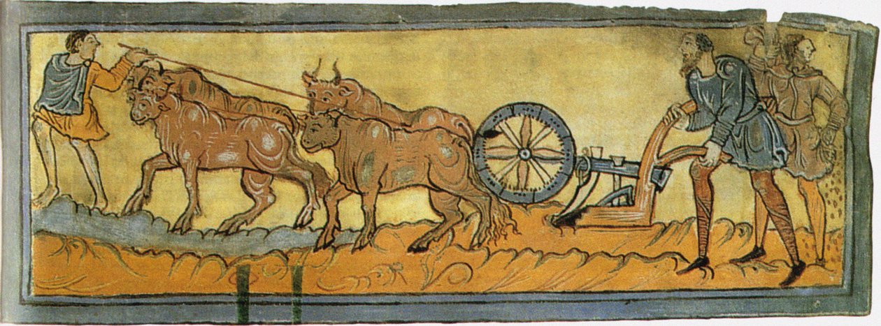 Pamuklu MS Tiberius
