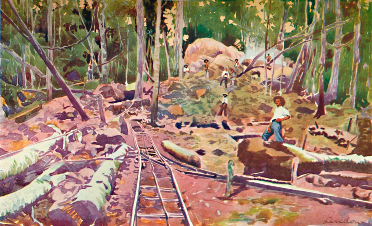 Amazon Ormanına Girmek - Madeira-Mamoré Demiryolu, 1914 by Unbekannt