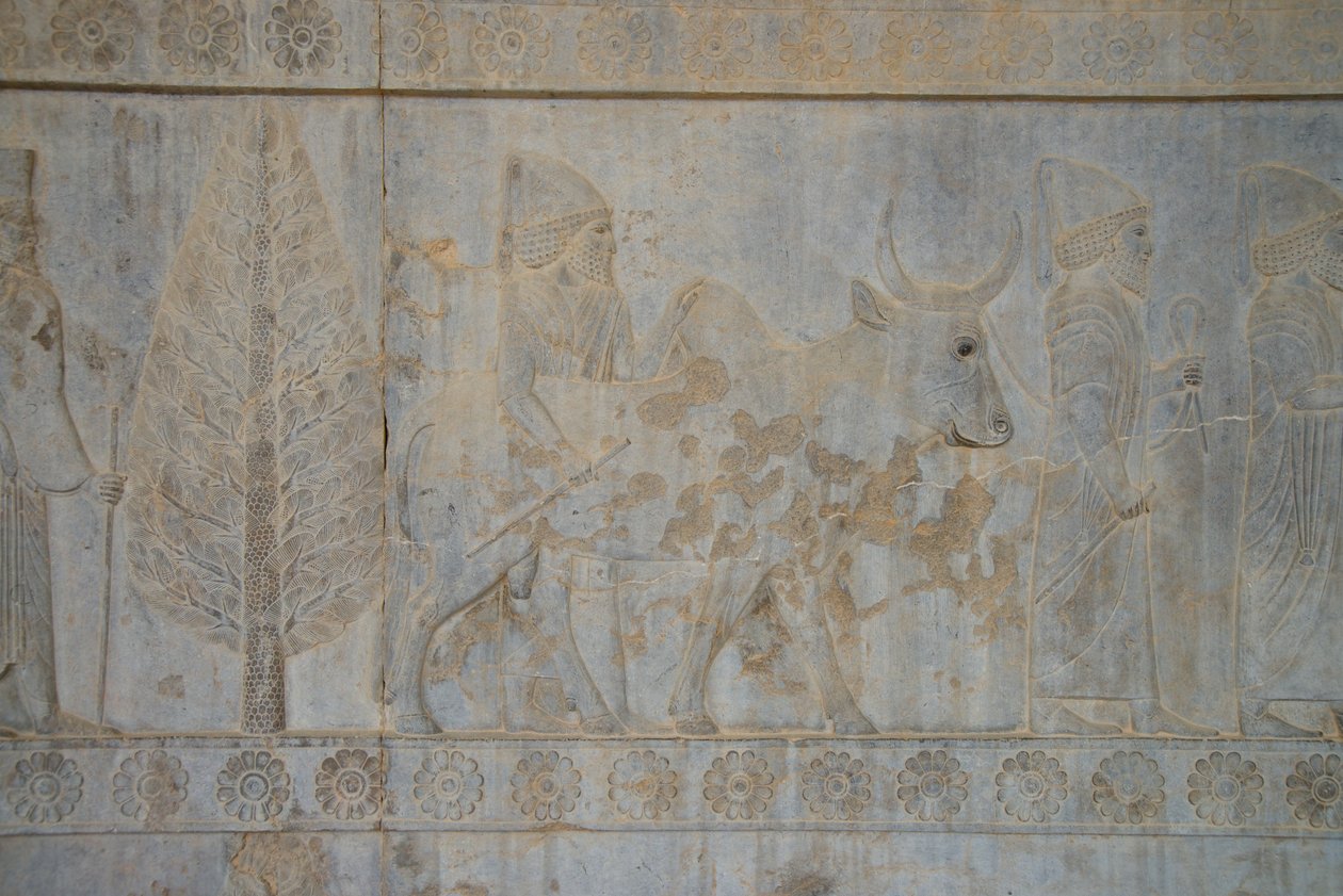 Persepolis, İran (fotoğraf) by Unbekannt