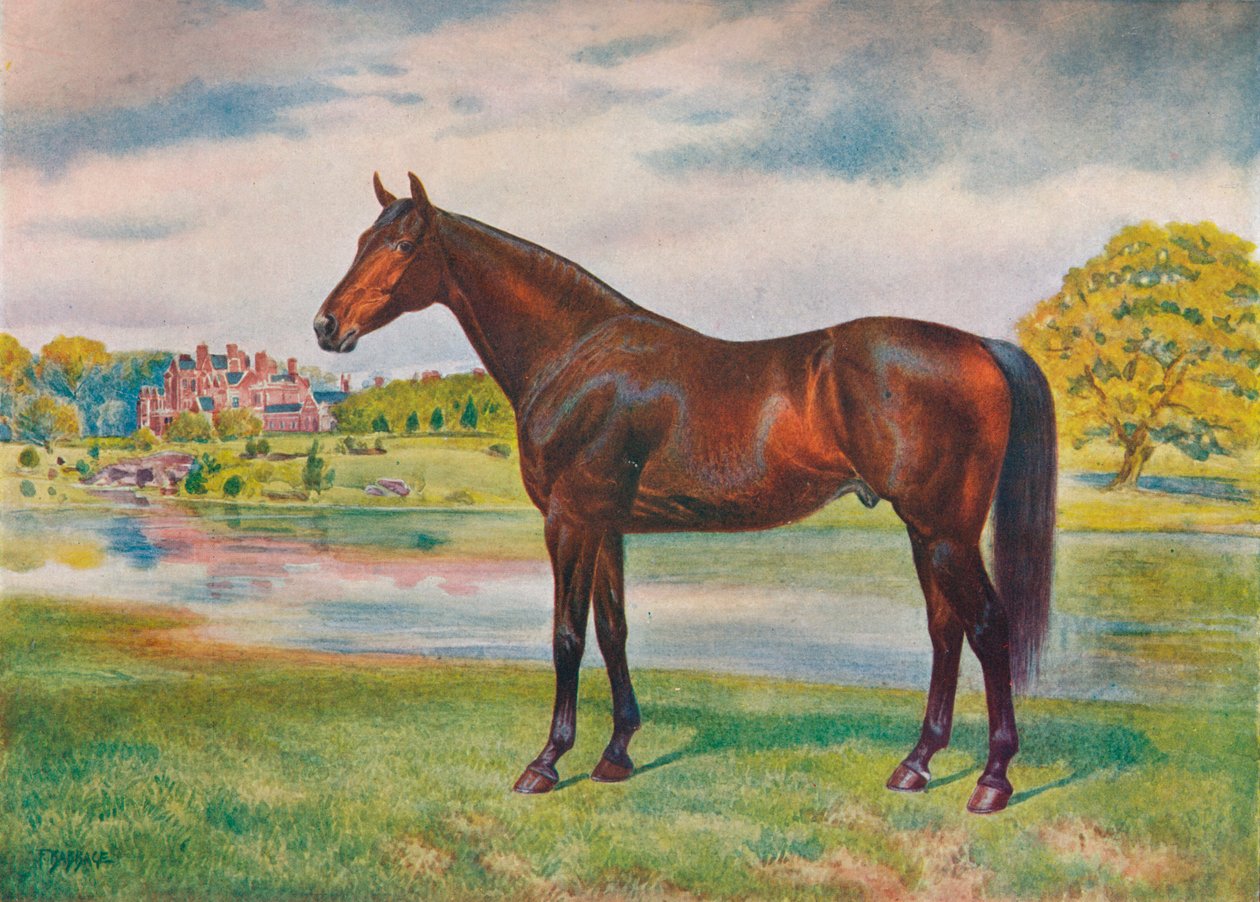 Trabzon hurması, c1905 c1910 by Unbekannt