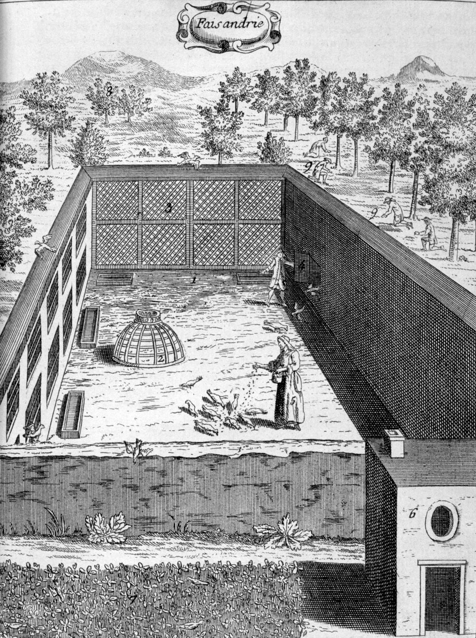 Sülün, 1775 by Unbekannt