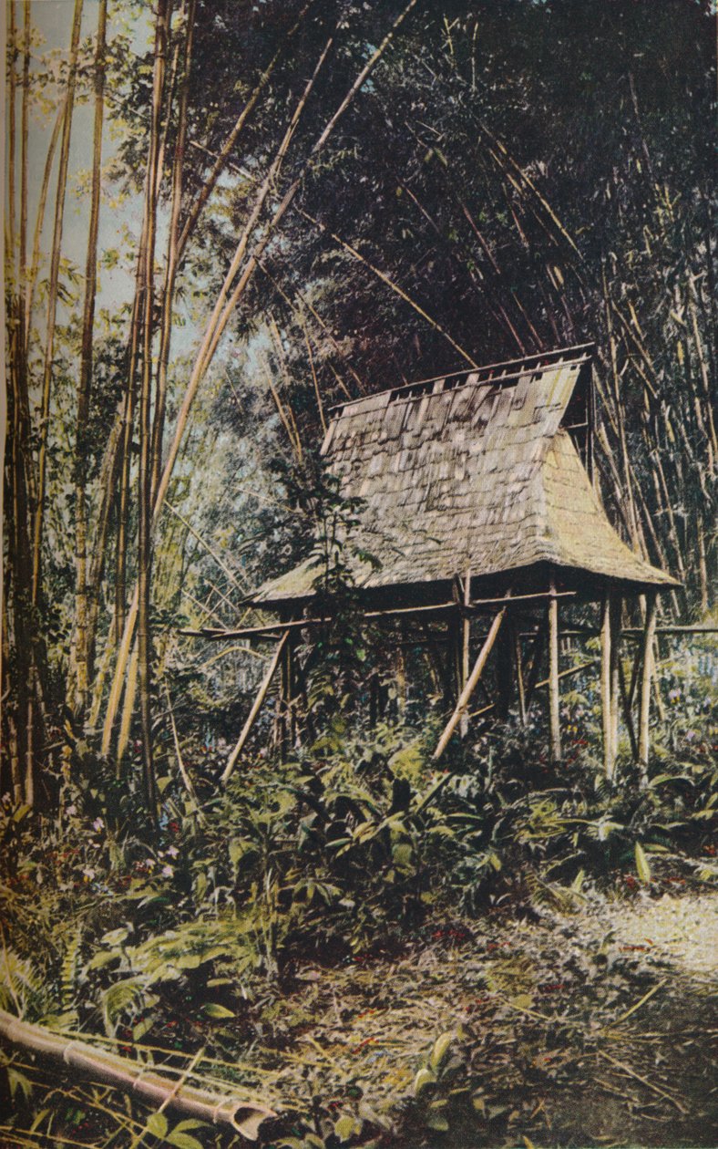 Filipin Adaları, c1930