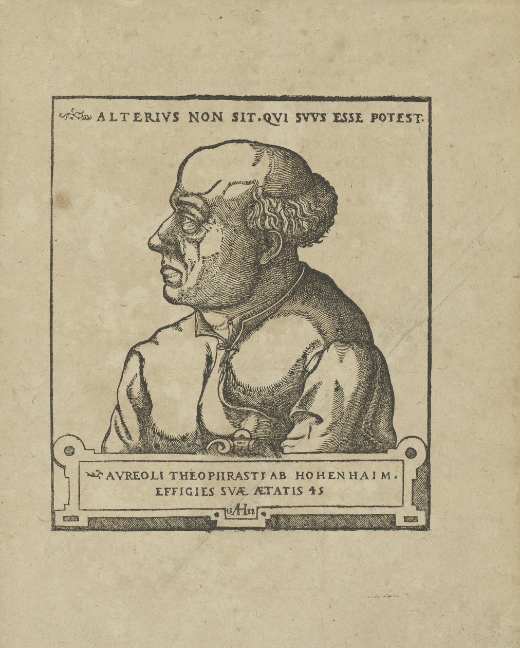 Philippus Theophrastus Aureolus Bombastus von Hohenheim Paracelsus, yaklaşık 1538. by Unbekannt