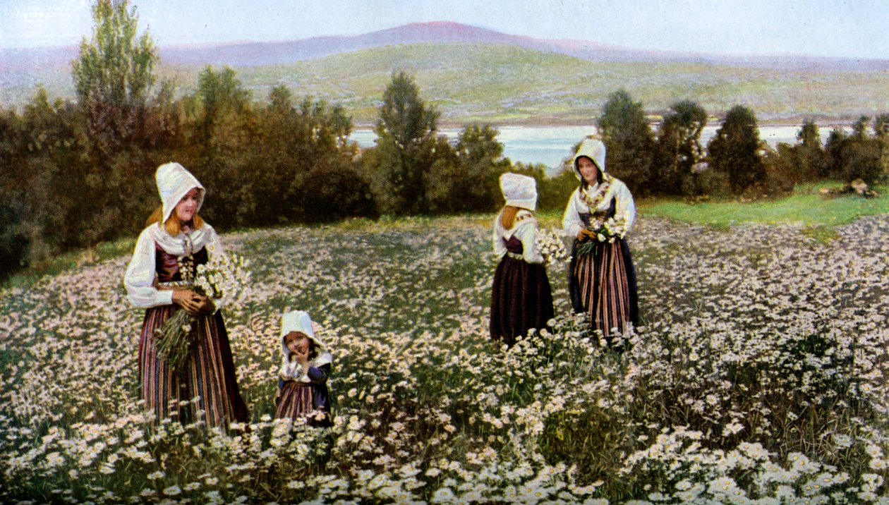İsveç, Leksand yakınlarındaki bir çayırda çiçek toplamak, c1923 by Unbekannt