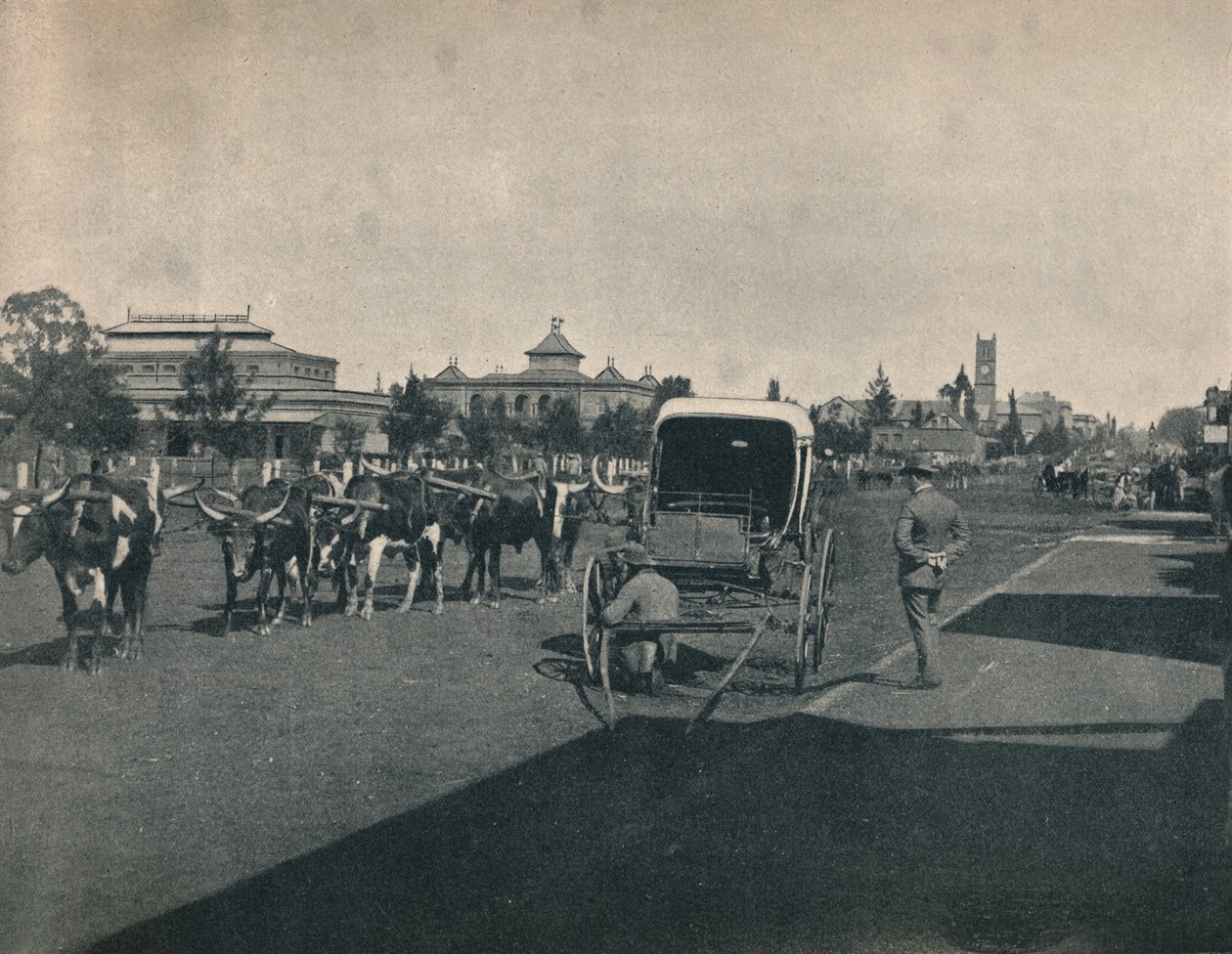 Pietermaritzburg, c1900. by Unbekannt