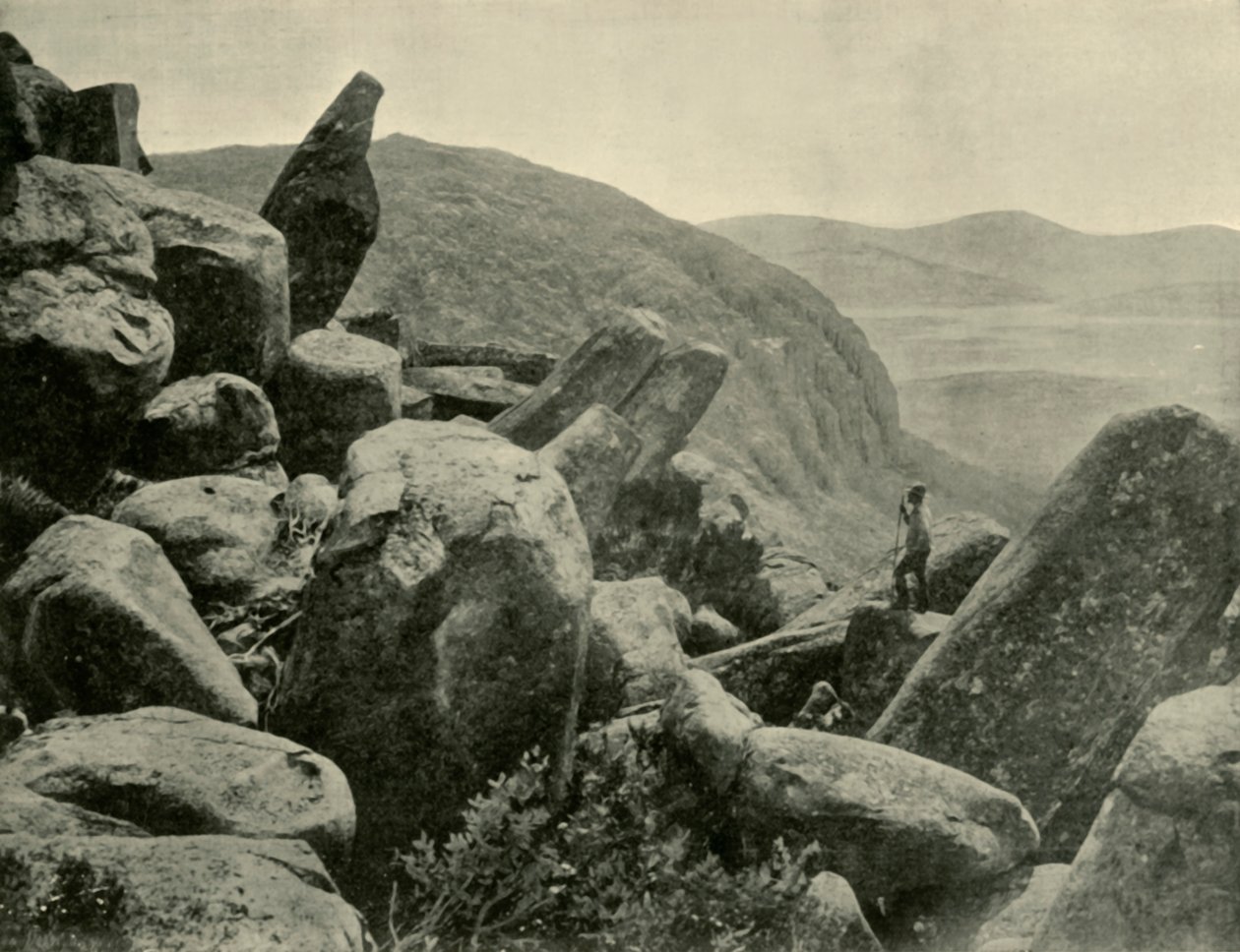 Pinnacle & Organ Pipes, Wellington Dağı, 1901. by Unbekannt