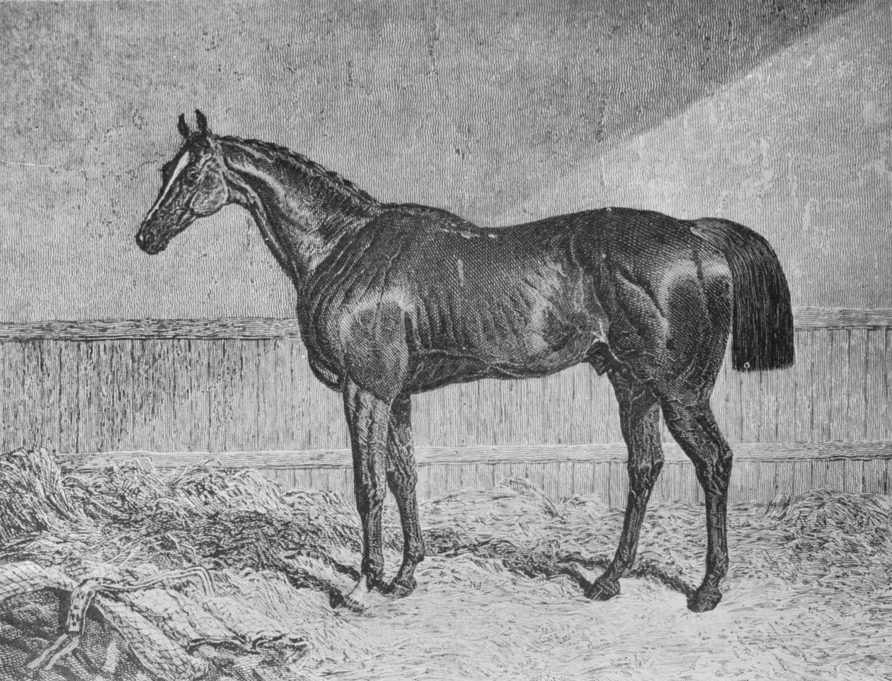 Tam Yetkili Temsilci, 1831-1854, 1911 by Unbekannt