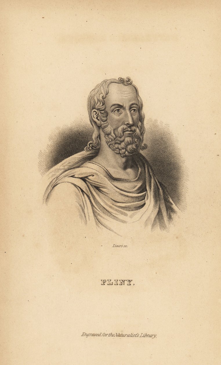 Yaşlı Pliny, Gaius Plinius Secundus, Romalı yazar, doğa bilimci ve doğa filozofu, MS 23-79 by Unbekannt