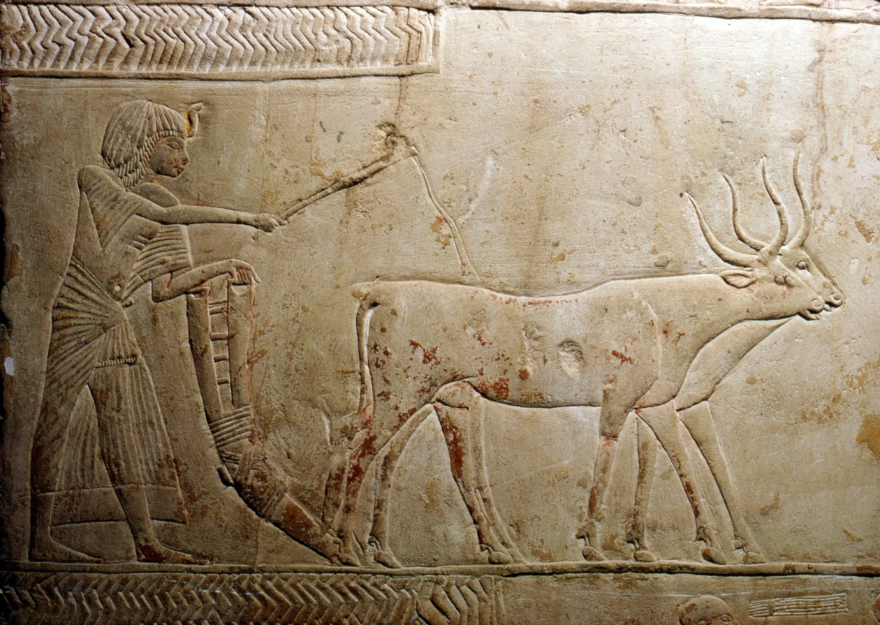 18. Hanedan, MÖ 1332-1323 Mısır Stelinden Çiftlik Sürmek by Unbekannt