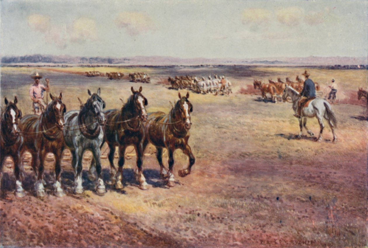 Büyük Ölçekte Çiftçilik, 1923. by Unbekannt