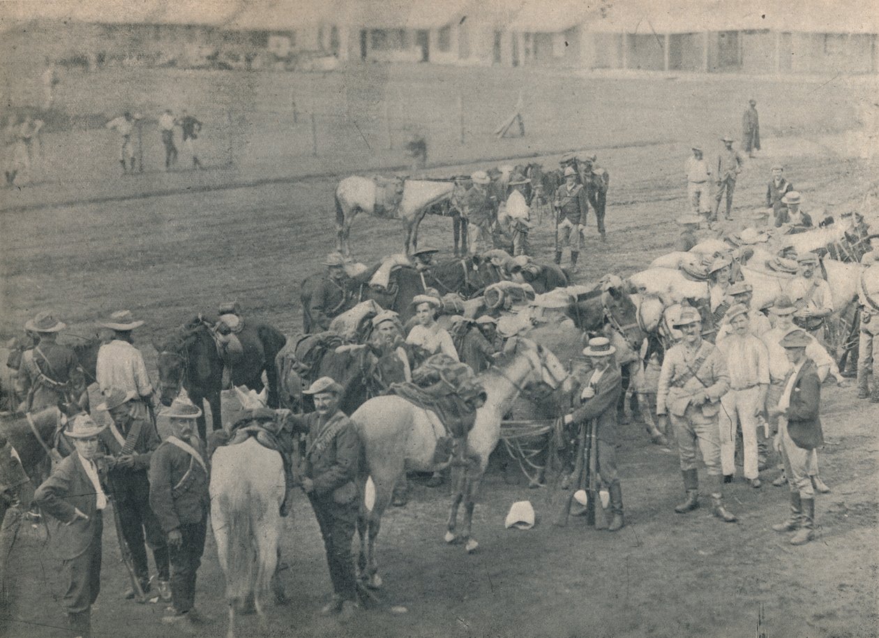 Tesisatçılar Atı, c1900. by Unbekannt