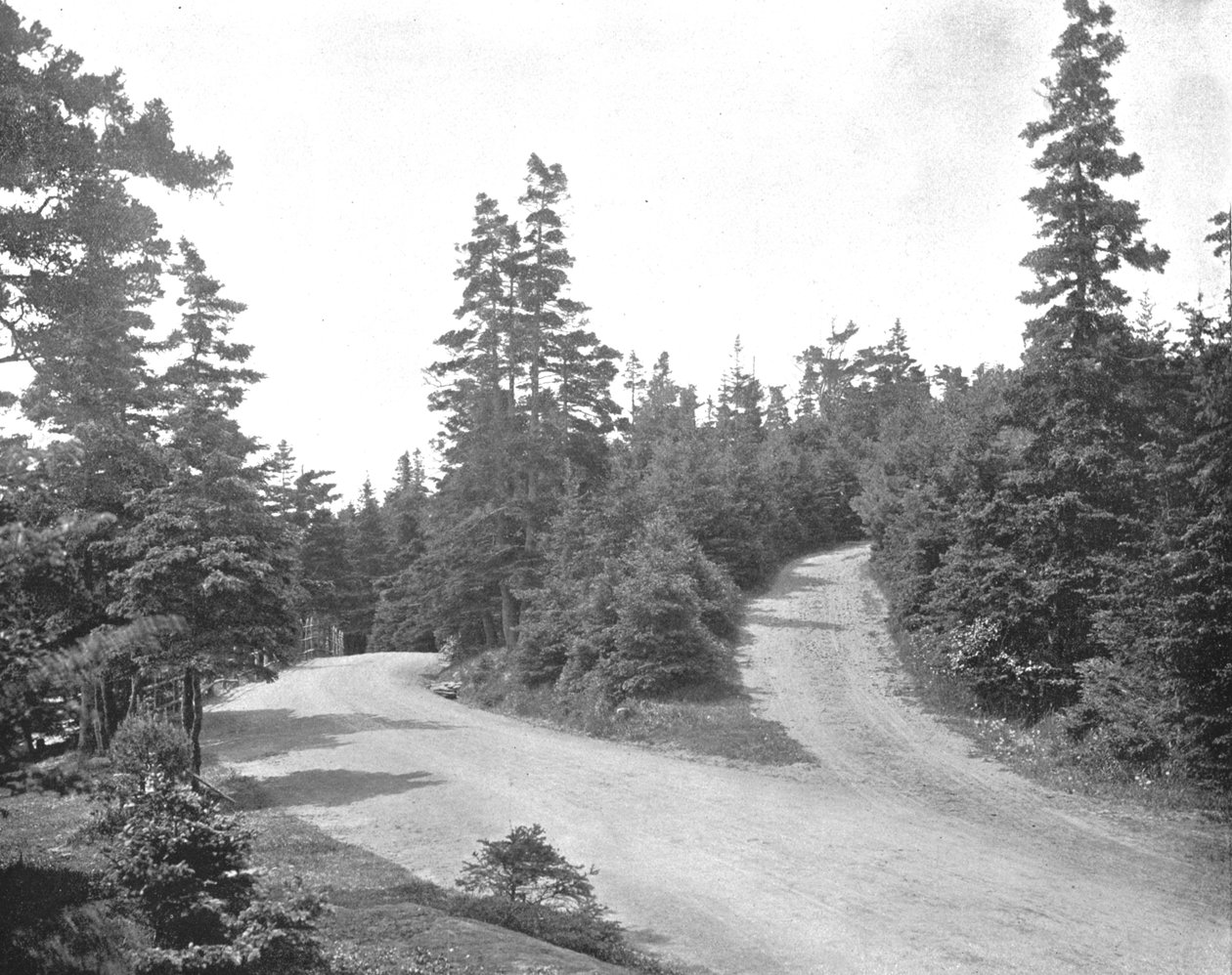 Point Pleasant Park, Halifax, Nova Scotia, Kanada, c1900. by Unbekannt