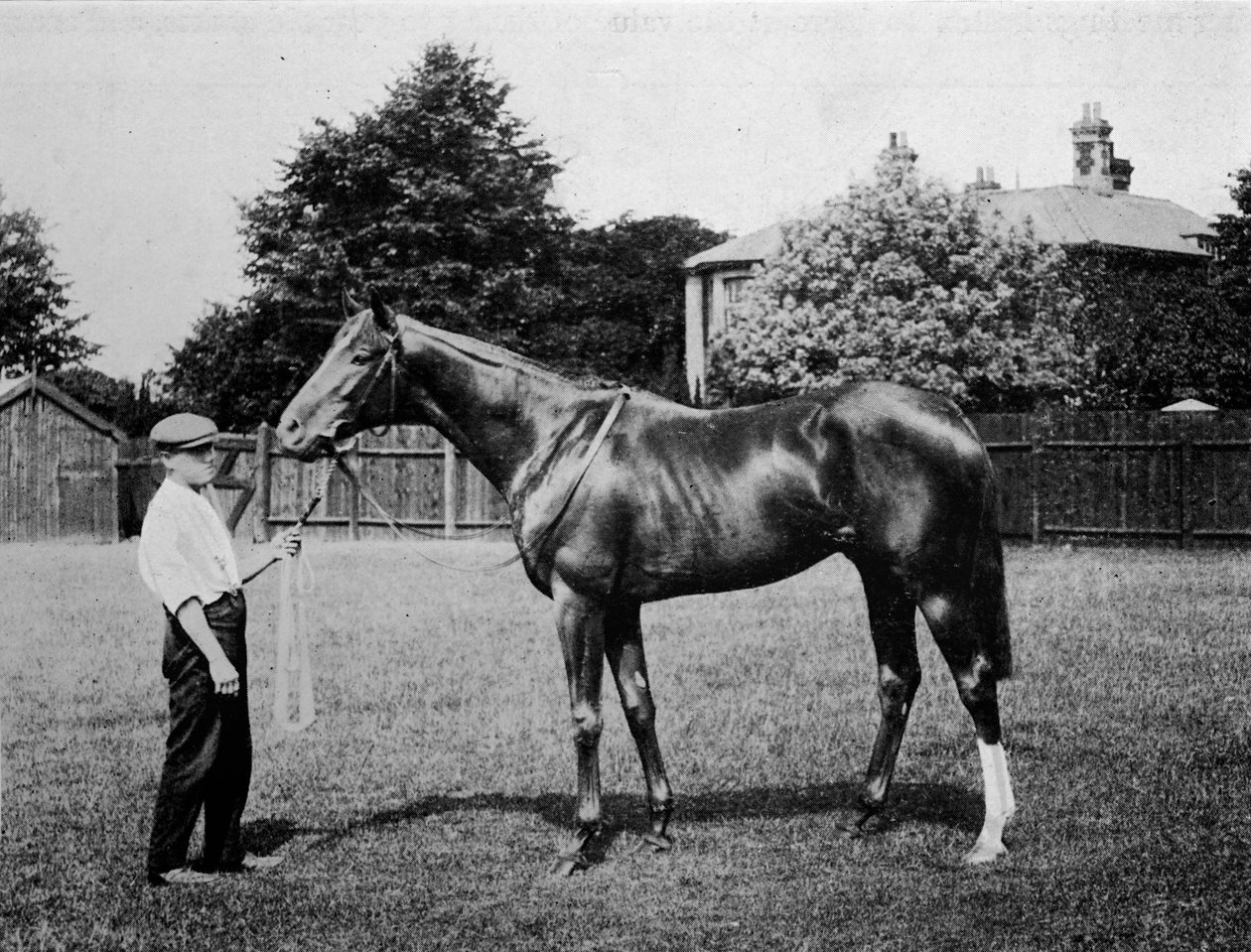 Kutup Yıldızı, 1911 by Unbekannt