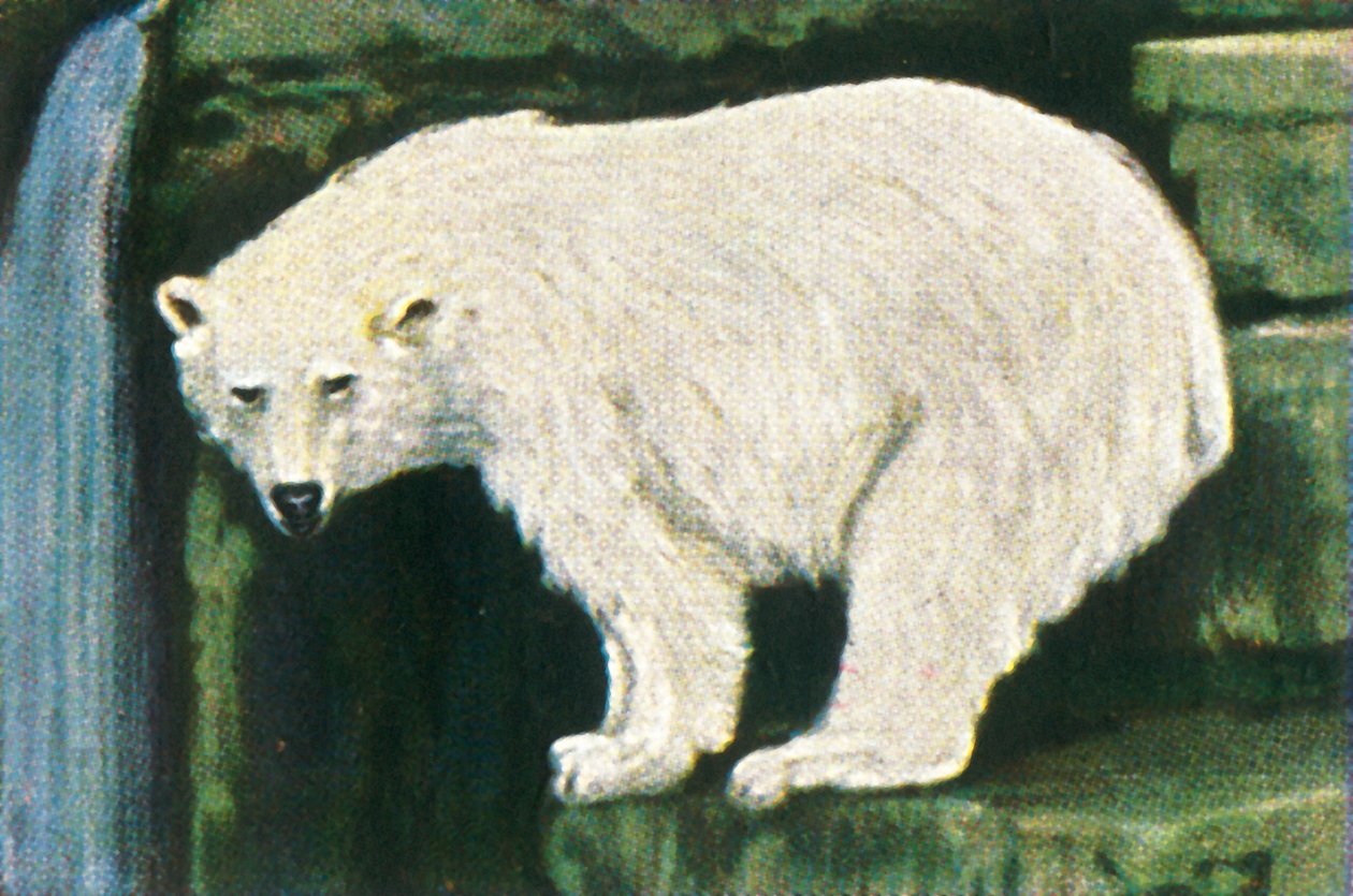 Spitzbergen