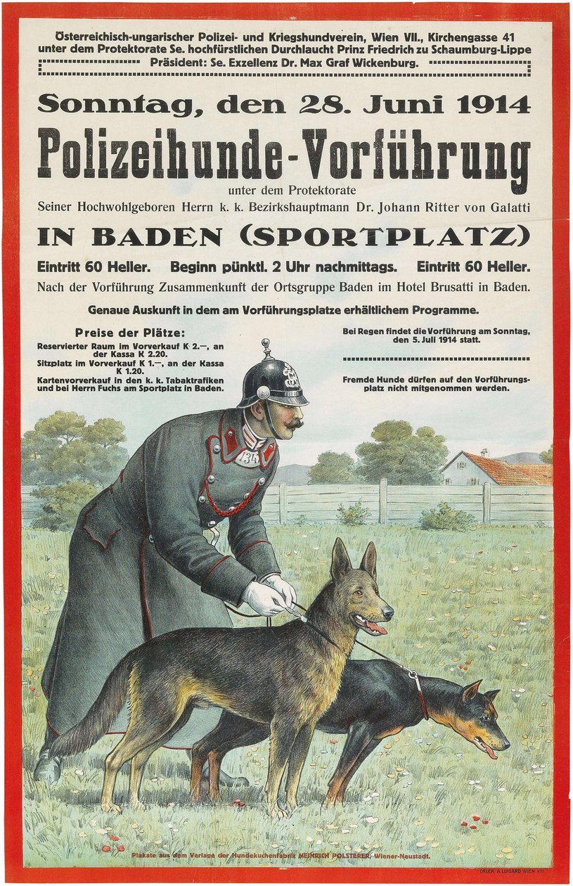 Baden'de Polis Köpeği Gösterisi, 1914. by Unbekannt