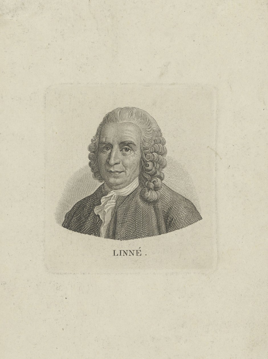 Carl Linnaeus