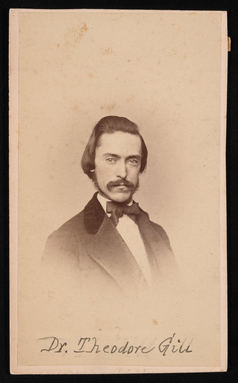 Theodore Nicholas Gill